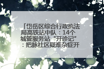 岱岳区综合行政执法局高铁站中队：14个城管服务站“开诊记”：把脉社区疑难杂症开出治理良方