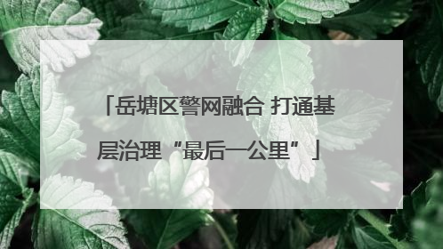 岳塘区警网融合 打通基层治理“最后一公里”