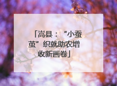 嵩县：“小蚕茧”织就助农增收新画卷