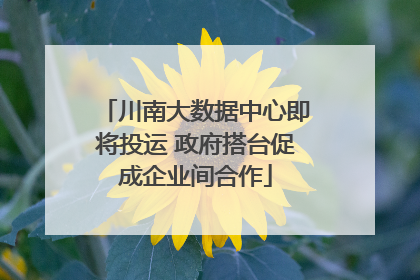 川南大数据中心即将投运 政府搭台促成企业间合作