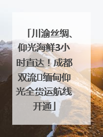 川渝丝绸、仰光海鲜3小时直达！成都双流⇌缅甸仰光全货运航线开通