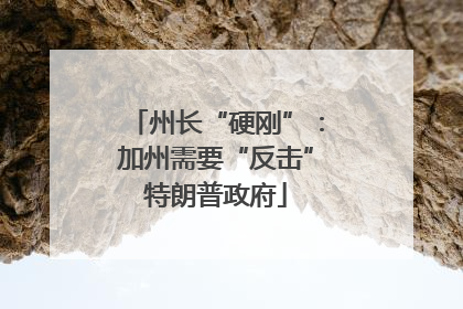 州长“硬刚”：加州需要“反击”特朗普政府