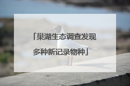 巢湖生态调查发现多种新记录物种