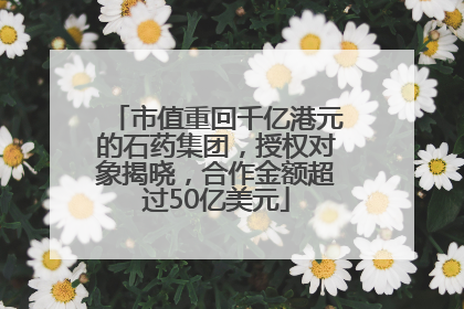 市值重回千亿港元的石药集团，授权对象揭晓，合作金额超过50亿美元