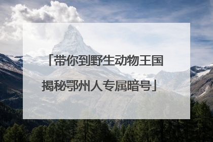 带你到野生动物王国揭秘鄂州人专属暗号