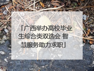 广西举办高校毕业生综合类双选会 智慧服务助力求职