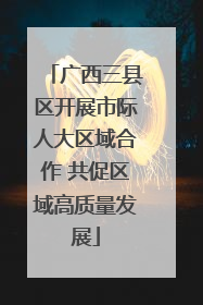 广西三县区开展市际人大区域合作 共促区域高质量发展