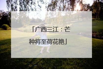 广西三江：芒种将至荷花艳