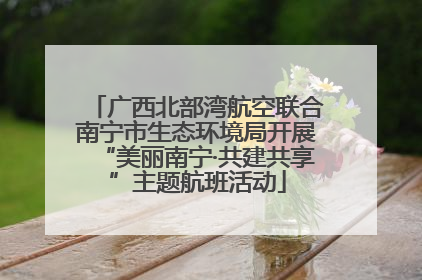 广西北部湾航空联合南宁市生态环境局开展“美丽南宁·共建共享”主题航班活动