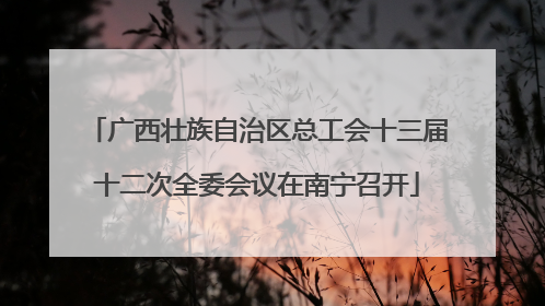 广西壮族自治区总工会十三届十二次全委会议在南宁召开