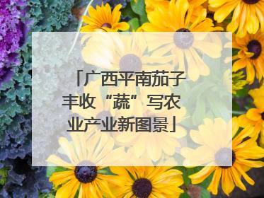 广西平南茄子丰收“蔬”写农业产业新图景