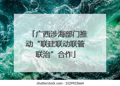 广西涉海部门推动“联建联动联管联治”合作