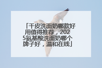 干皮洗面奶哪款好用值得推荐，2025氨基酸洗面奶哪个牌子好，温和在线