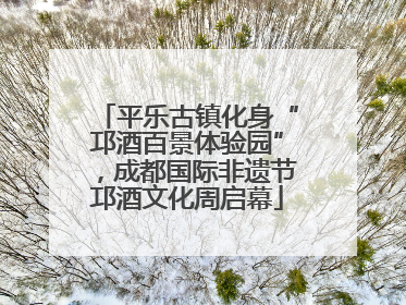平乐古镇化身“邛酒百景体验园”，成都国际非遗节邛酒文化周启幕