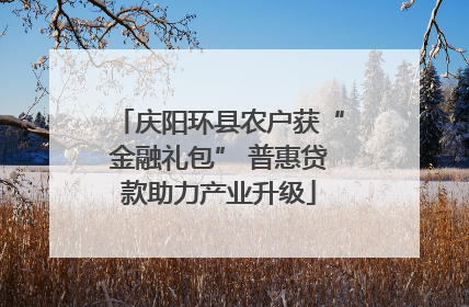 庆阳环县农户获“金融礼包” 普惠贷款助力产业升级
