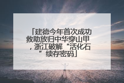 建德今年首次成功救助放归中华穿山甲，浙江破解“活化石”续存密码