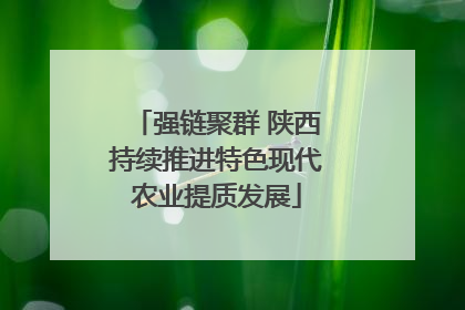 强链聚群 陕西持续推进特色现代农业提质发展