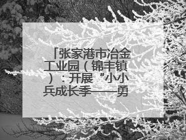 张家港市冶金工业园（锦丰镇）：开展“小小兵成长季——勇敢挑战营”国防启蒙教育活动