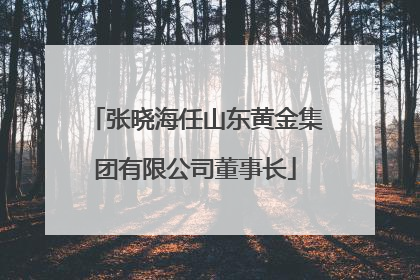 张晓海任山东黄金集团有限公司董事长