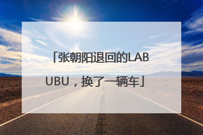 张朝阳退回的LABUBU，换了一辆车