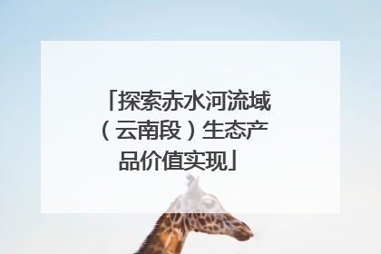 探索赤水河流域（云南段）生态产品价值实现