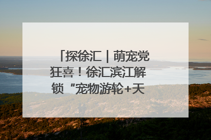 探徐汇｜萌宠党狂喜！徐汇滨江解锁“宠物游轮+天台乐园”双玩法