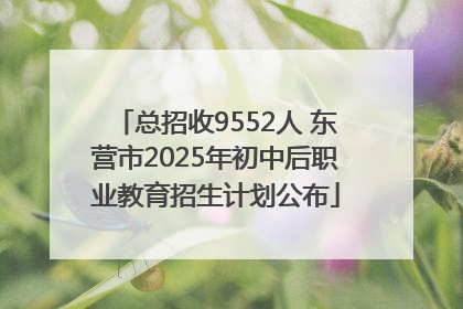 总招收9552人 东营市2025年初中后职业教育招生计划公布