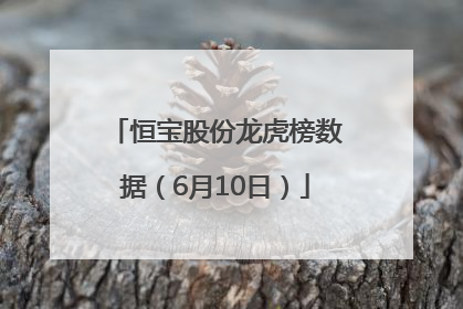 恒宝股份龙虎榜数据（6月10日）