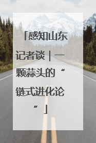 感知山东记者谈｜一颗蒜头的“链式进化论”