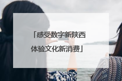 感受数字新陕西 体验文化新消费