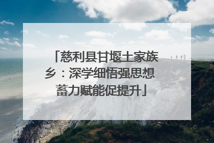 慈利县甘堰土家族乡：深学细悟强思想 蓄力赋能促提升