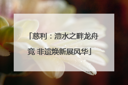 慈利：澧水之畔龙舟竞 非遗焕新展风华