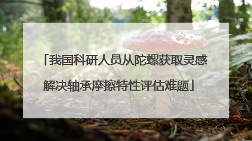 我国科研人员从陀螺获取灵感解决轴承摩擦特性评估难题