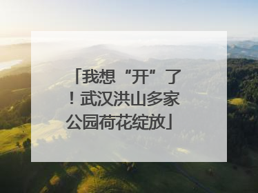 我想“开”了！武汉洪山多家公园荷花绽放