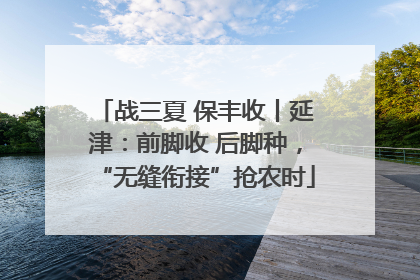 战三夏 保丰收丨延津：前脚收 后脚种，“无缝衔接”抢农时