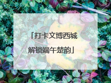 打卡文博西城 解锁端午楚韵