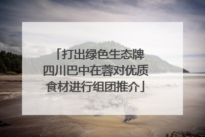 打出绿色生态牌 四川巴中在蓉对优质食材进行组团推介