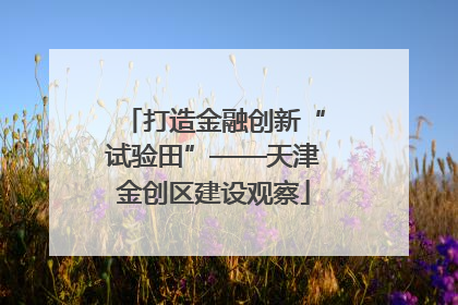 打造金融创新“试验田”——天津金创区建设观察