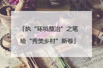 执“环境整治”之笔 绘“秀美乡村”新卷