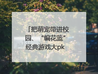 把萌宠带进校园、“编花篮”经典游戏大pk……南京小学花式“庆六一”