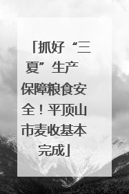 抓好“三夏”生产 保障粮食安全！平顶山市麦收基本完成