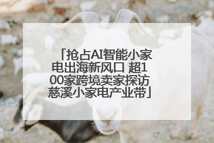 抢占AI智能小家电出海新风口 超100家跨境卖家探访慈溪小家电产业带