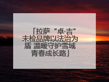 拉萨“卓·吉”未检品牌以法治为盾 温暖守护雪域青春成长路