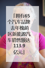拥有65个汽车品牌 去年槐荫区新能源汽车销售额达113.9亿元