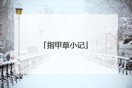 指甲草小记