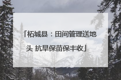 柘城县：田间管理送地头 抗旱保苗保丰收