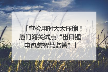 查检用时大大压缩！厦门海关试点“出口锂电包装智慧监管”
