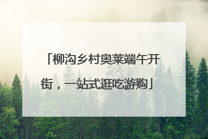 柳沟乡村奥莱端午开街，一站式逛吃游购