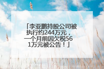 李亚鹏持股公司被执行约244万元，一个月前因欠税561万元被公告！