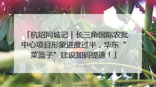 杭绍同城记｜长三角国际农批中心项目形象进度过半，华东“菜篮子”建设加码提速！